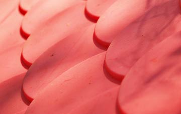 Annbank plastic roof costs