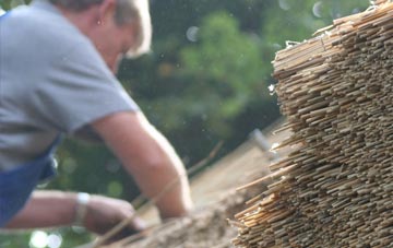 professional Annbank thatchers