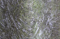 Annbank fibreglass roof work